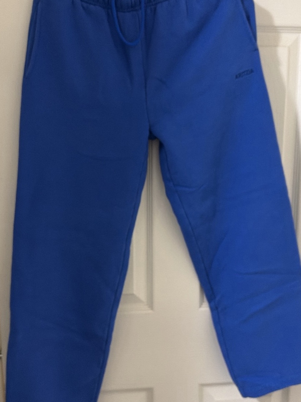Aritzia Wide-Leg Jogger in Royal Blue
